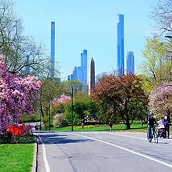Central Park