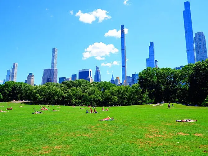 Alquiler de bicis con picnic en Nueva York - Lugar de Picnic