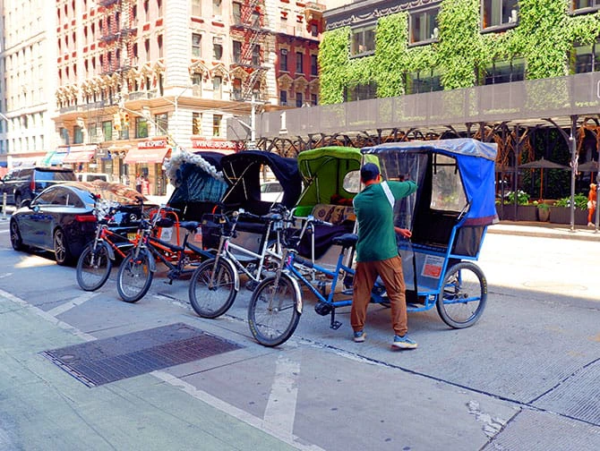 Tour en pedicab por Central Park - Carritos